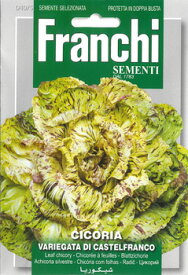 【イタリアの野菜の種】FRANCHI社　リーフチコリー・VAR. CASTELFRANCO　カステルフランコ