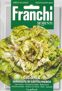 yC^A̖؂̎zFRANCHIЁ@[t`R[EVAR. CASTELFRANCO@JXetR