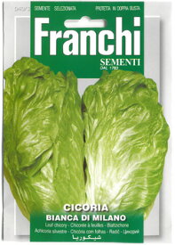 【イタリアの野菜の種】FRANCHI社　リーフチコリー Bianca di Milano 【固定種】 DBO40/3　苦味の少ない歯ごたえのあるリーフチコリです。