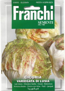 yC^A̖؂̎zFRANCHIЁ@ `R[EVARIEGATA DI LUSIA@40/80sŒt