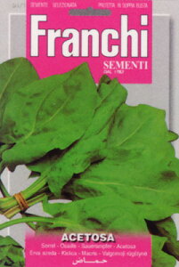 yC^Ãn[u̎zFRANCHIЁ@\1/1