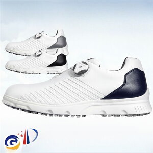 St StV[Y _C \tgXpCN Y XpCNV[Y Xj[J[ C am h lHv