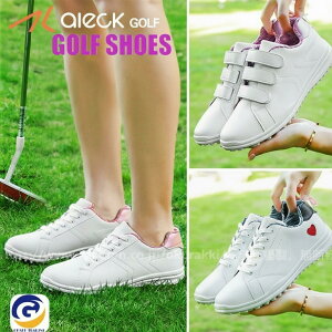 St StV[Y \tgXpCN fB[X XpCNV[Y h lHv