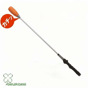 XCOg[i[ St 򋗗Abv XCO XCO`FbN g[jO `FbNXeBbN  NX}X v[g̓