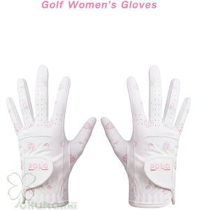 StO[u fB[X StEFA Stpi  ANZT[ JWA X|[c v[g Mtg