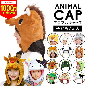 y{1000~CPΏہzE} n Ԃ x    Xq 2026N ւ Lbv  Ȃ肫 Xq q l ȒP  t[TCY  蕨 Ԃ  RXv N