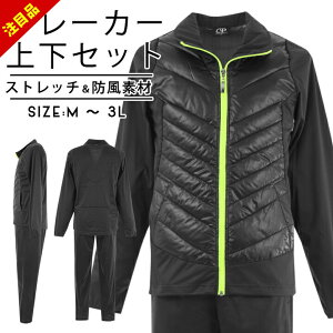 y44%Z[zyXMzEChu[J[ Y ㉺ M L X|[c 傫TCY AE^[ EBhu[J[ ㉺Zbg ZbgAbv h Xgb` u[J[ ㉺ ECh u[