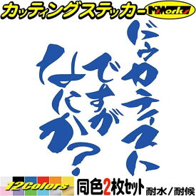 ドゥカティストですがなにか？(2枚1セット) カッティングステッカー 全12色(120mmX95mm) バイク おもしろ かっこいい Ducati ドゥカティ 面白 ボックス ケース バイク 二輪車 ヘルメット おしゃれ 文字 アウトドア 防水 耐水 転写 切り文字 シール