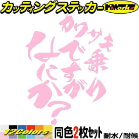 バイク ステッカー カワサキ 乗りですがなにか？ (2枚1セット) カッティングステッカー 全12色(120mmX95mm) ジェットスキー フェンダー ヘルメット 漢 アウトドア 防水 耐水 転写 切り文字 シール