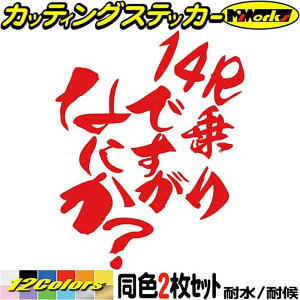 oCN XebJ[ 14R łȂɂH (21Zbg) JbeBOXebJ[ S12F ZX-14R ZX14R 1400 NINJA ^N tF_[ wbg   ʔ j[N  