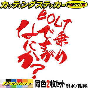 oCN XebJ[ BOLT łȂɂH (21Zbg) JbeBOXebJ[ S12F {g AJ    ʔ wbg  fJ[   