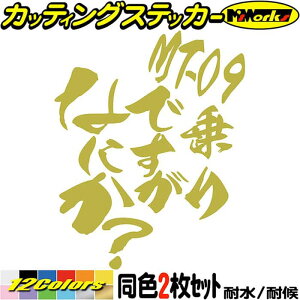 oCN XebJ[ MT-09 łȂɂH (21Zbg) JbeBOXebJ[ S12F MT09 XN[ c[ {bNX P[X    ʔ AEghA  