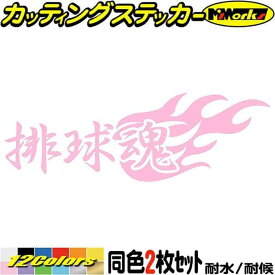 バレーボール ステッカー 排球魂 ( バレーボール ) (2枚1セット) カッティングステッカー 全12色(65mmX195mm) 車 バイク かっこいい タンク ウィンドウ カウル ヘルメット バレー アウトドア 防水 耐水 転写 切り文字 シール