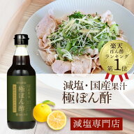 40%減塩 塩ぬき屋 極ぽん酢 3種の国産果汁100% 無添加 355ml| 国産 無添加 小袋 ポン酢 ポンズ レシピ 作…