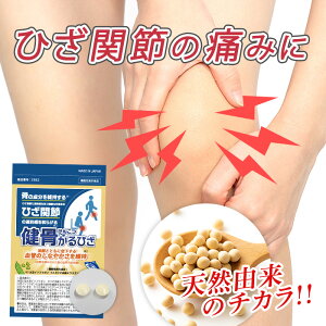 Ђ Tvg30yG̒ɂ݁ÄێAǂɁz |  Tv ORT~ 哤C\t{ G Ђ  U  h G֐ GT|[g  VjA 50 60