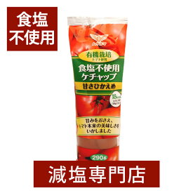 無塩 ケチャップ 化学調味料無添加 290g×2本 | 食塩無添加 食塩不使用 無塩調味料 無塩食品 減塩中の方 塩分カット 調味料 無添加 有機栽培 塩化カリウム不使用 高血圧 透析食 腎臓病食 父の日 父の日ギフト 低塩