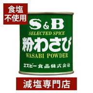 無塩 粉わさび 35g | 食塩無添加 食塩不使用 無塩調味料 無塩食品 調味料 減塩中の方 塩分オフ 塩分カッ…