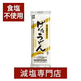 食塩不使用 げんた うどん たんぱく質調整食品 300g×3袋セット | 食塩無添加 無塩食品 乾麺うどん 減塩 塩分カット 腎臓病食 腎臓疾患 減塩中の方 塩分オフ 低たんぱく 低タンパク 低リン 低カリウム 高血圧 キッセイ薬品 母の日 母の日ギフト 母の日プレゼント 低塩