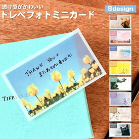 【公式】全部ちがう柄 トレペフォトミニカード | メッセージ カード グリーティング ミニ ウエディング 文具 ギフト プレゼント 雑貨 かわいい おしゃれ 寄せ書き プチギフト アルバム 写真 文具 文具女子 文房具