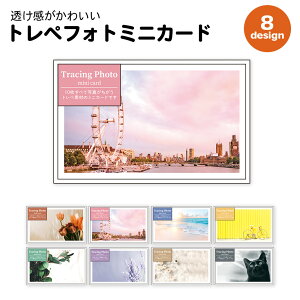 �y�����z�S���������� �g���y�t�H�g�~�j�J�[�h | ���b�Z�[�W �J�[�h �O���[�e�B���O �~�j �E�G�f�B���O ���� �M�t�g �v���[���g �G�� ���킢�� ������� �񂹏��� �v�`�M�t�g �A���o�� �ʐ^ 