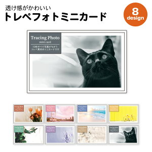 yX[p[Z[Ԓ20OFFzyzS gytHg~jJ[h | bZ[W J[h O[eBO ~j EGfBO  Mtg v[g G 킢  