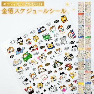 yz XPW[V[ ˂ Ă p_ |jA nlY~ nVrRE NbJr[ V[ 킢 ACR fR[V  LN^[ 蒠 L