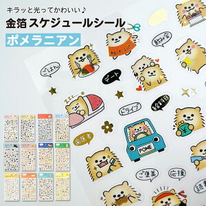 yz XPW[V[ ˂ Ă p_ |jA nlY~ nVrRE NbJr[ V[ 킢 ACR fR[V  LN^[ 蒠 L