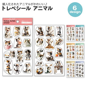 yԌ10OFFzgyV[ Aj} V[ R[W R[Wf  킢  fR[V l q 蒠fR ˂ AV Ă  nlY~ p_