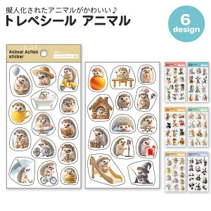 yԌ10OFFzgyV[ Aj} V[ R[W R[Wf  킢  fR[V l q 蒠fR ˂ AV Ă  nlY~ p_