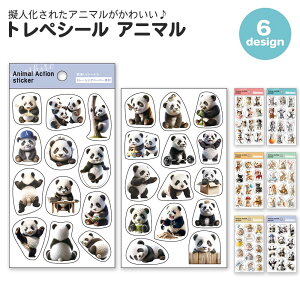 yԌ10OFFzgyV[ Aj} V[ R[W R[Wf  킢  fR[V l q 蒠fR ˂ AV Ă  nlY~ p_