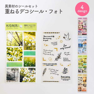 d˂fRV[ tHg V[ R[W ʐ^ tHg 蒠fR G [  킢   pCubN PINEBOOK