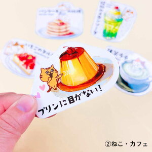 \Ă͂ XebJ[ZbgERrg V[ ˂ Ă nVrRE NbJr[ L lR Č  LN^[ 蒠 XPW[ L G [  킢 