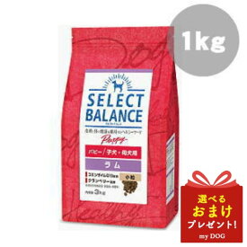 セレクトバランス パピー ラム 小粒 1kg SELECT BALANCE ドッグフード 犬用 ドライフード 合成保存料無添加