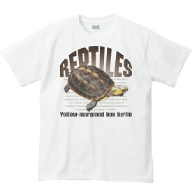 セマルハコガメ（亀）爬虫類シリーズ／半袖Tシャツ