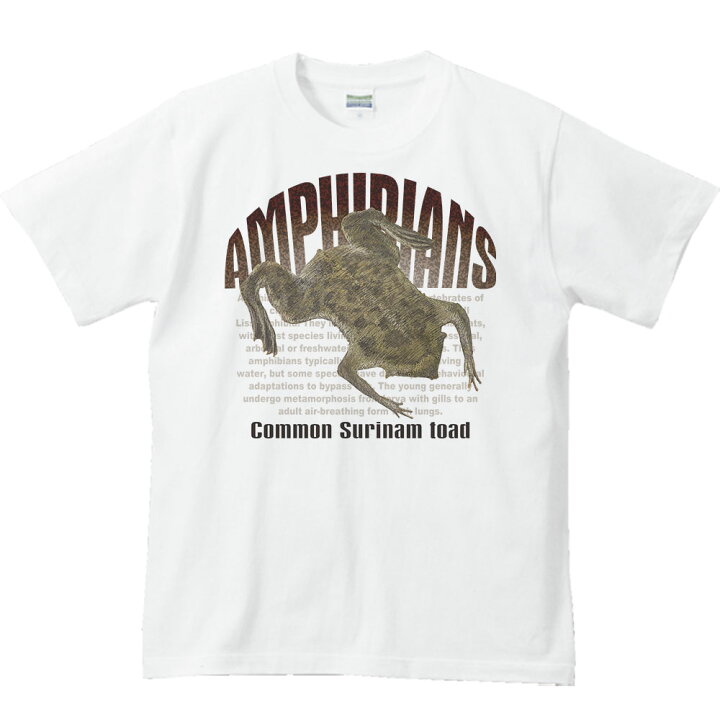 楽天市場 ピパピパ 蛙 両生類シリーズ 半袖ｔシャツ Myds 楽天市場店