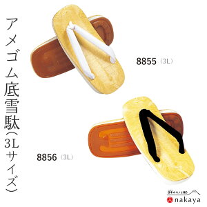 s  8855 t  l   AS 3LTCY Y jp  m Ղ gx q 蕨 mÑ {x Vx x   ܂Ƃߔ  ̓