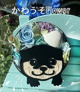 u키t[vvU[uht[ a o^C zCgf[ j ~  ̓ Mtg v[g  J[l[V ybg JE\J E\D  