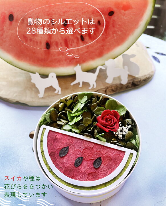 楽天市場 送料無料 スイカフラワー フラワーアレンジメント すいか スイカ 西瓜 犬 誕生日 夏 犬 猫 うさぎ プレゼント お供え ペット 供養 花 メモリアルグッズ メモリアル プリザ ギフト 動物 お悔み ダックス 柴犬 チワワ 父の日 母の日 プリザーブドフラワー動物