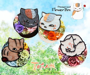 uĖڗFlv vU[uht[ jR搶 ̓ ̓ a j LO ObY ̓  jR Mtg  ސEj Џj Əj wj  v[