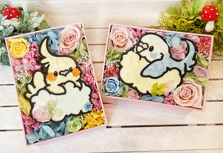 楽天市場 送料無料 ゆとり屋 ゆとりや 雑貨 ホワイトデーお返し イラスト 花 プリザーブドフラ 大人気 オカメインコ セキセイインコ とり好き Yutoriya おかめいんこ 誕生日プレゼント 結婚祝い お見舞い 開店祝い 開院祝い 青い鳥 テレビ小道具 テレビ装飾 楽天市場 送料無料 ゆとり屋 ゆとりや 雑貨 ホワイトデーお返し イラスト 花 プリザーブドフラ 大人気 オカメインコ セキセイインコ とり好き Yutoriya おかめいんこ 誕生日プレゼント 結婚祝い お見舞い 開店祝い 開院祝い 青い鳥 テレビ小道具 テレビ装飾
