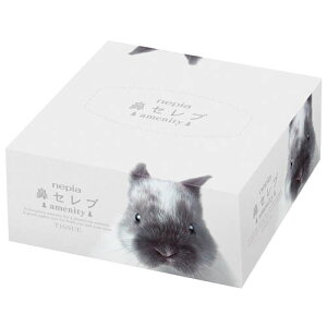 񎟉 ii lsA @ZuAjeB eBV   YN VN StRy ГCxg rS