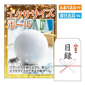 񎟉 ii GNTTCY{[izCgj A4 plt ژ^  YN VN StRy ГCxg rS