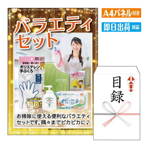 񎟉 ii oGeBZbg A4 plt ژ^  YN VN StRy ГCxg rS