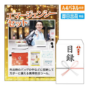 二次会 景品 エマージェンシーセット A4 パネル付き 目録 結婚式 忘年会 新年会 ゴルフコンペ 社内イベント ビンゴ