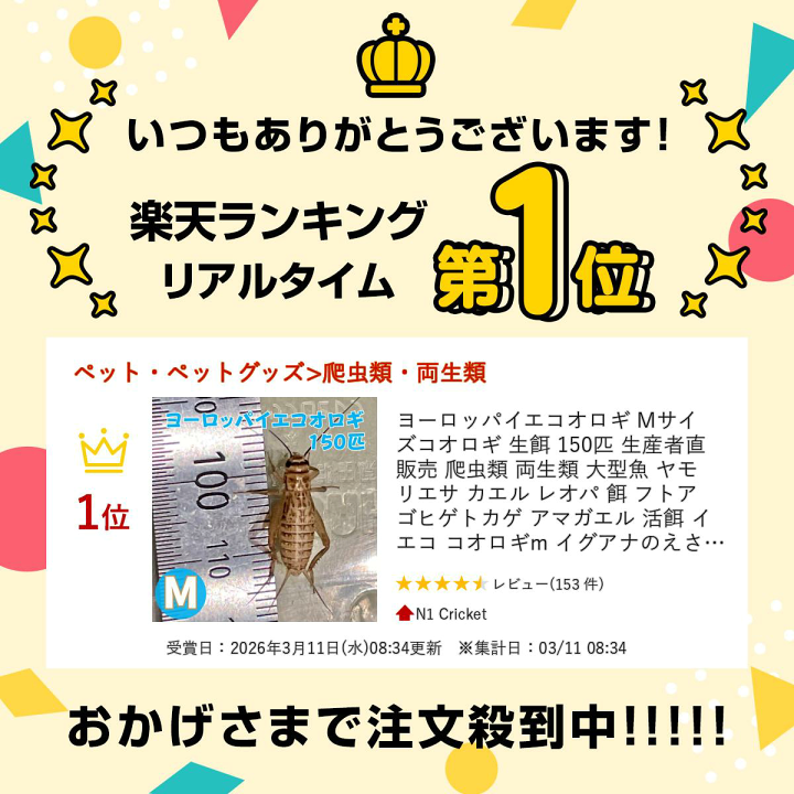 楽天市場】ヨーロッパイエコオロギ Mサイズ コオロギ 生餌 150匹 生産 