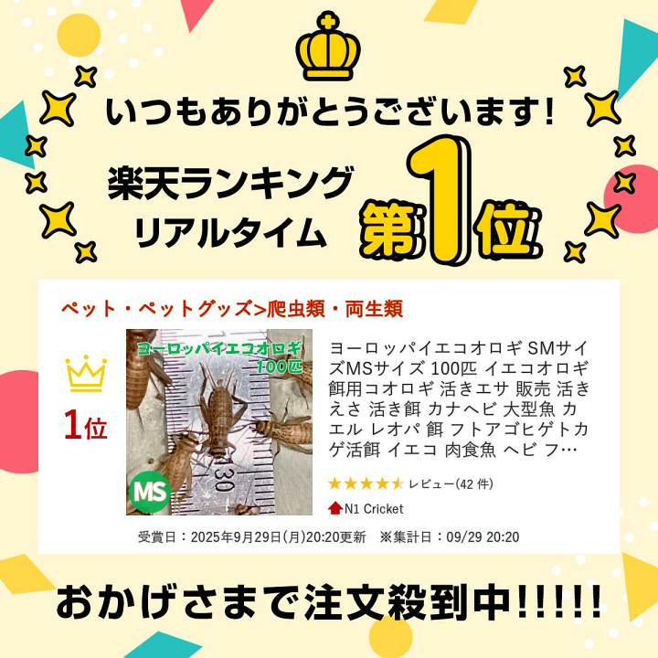 楽天市場】ヨーロッパイエコオロギ SMサイズ MSサイズ 100匹