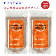 リコエンザイム ビオソルト 岩塩 ( 300g × 2個セット ) 送料無料 (沖縄を除く) ヒマラヤ山脈のチベット…