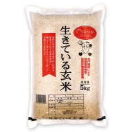 【 生きている玄米 5kg 】 令和7年産 玄米 コシヒカリ 厳選した100% 国産 雑穀 送料無料 天然塩 有機栽培…