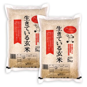 y Ă錺 10kg z ( Ă錺 5kg ×2 ) ߘa6NY  RVqJ I100% Y G  VR L@͔| _ w엿 _sgp L@ Y 茺 yf