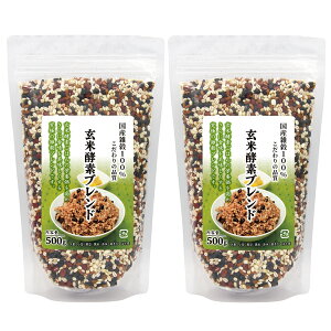 čyfuh1kgZbg(500g×2܁j I100% Y G̗p 1kg  L@͔| _ w엿 c_[ 茺 ъ yf Q   Y